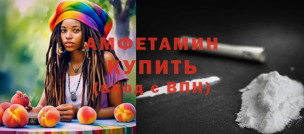 ГАЛЛЮЦИНОГЕННЫЕ ГРИБЫ Гусь-Хрустальный