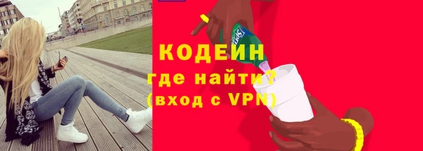 ГАЛЛЮЦИНОГЕННЫЕ ГРИБЫ Гусь-Хрустальный