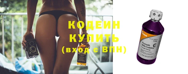 ГАЛЛЮЦИНОГЕННЫЕ ГРИБЫ Гусь-Хрустальный