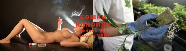 ГАЛЛЮЦИНОГЕННЫЕ ГРИБЫ Гусь-Хрустальный
